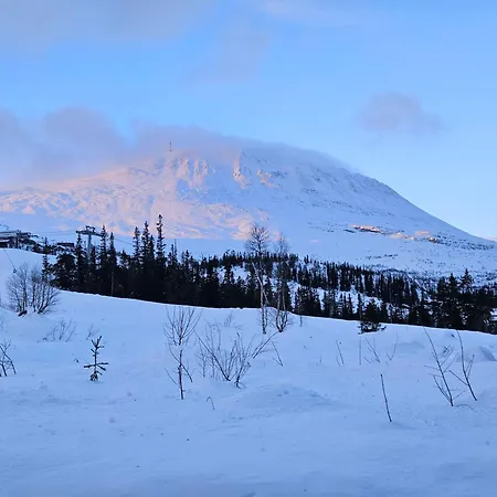 Gaustatoppen View